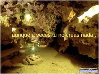 aunque a veces tú no creas nada .
 