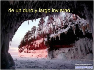 de un duro y largo invierno .
 
