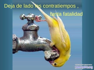 Deja de lado los contratiempos ,
tanta fatalidad
 