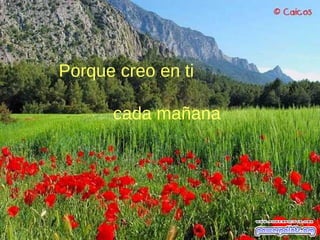 Porque creo en ti
cada mañana
 