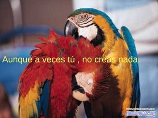 Aunque a veces tú , no creas nada.
 