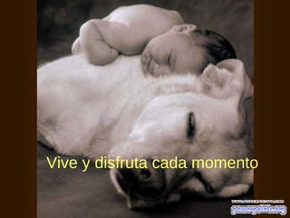 Vive y disfruta cada momento
 