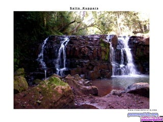 Salto   Kuppers
 