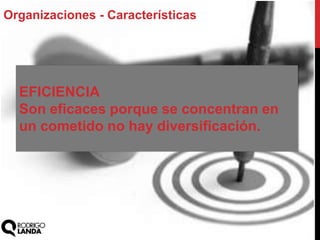 Organizaciones - Características
EFICIENCIA
Son eficaces porque se concentran en
un cometido no hay diversificación.
 