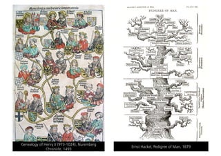 Genealogy of Henry II (973-1024), Nuremberg
                                              Ernst Hackel, Pedigree of Man, 1879
              Chronicle, 1493
 