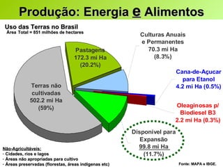 Uso das Terras no Brasil   Área   Total = 851 milhões de hectares Não-Agricultáveis: Cidades, rios e lagos Áreas não apropriadas para cultivo  Áreas preservadas (florestas, áreas indígenas etc) Fonte: MAPA e IBGE.  Produção: Energia  e  Alimentos 