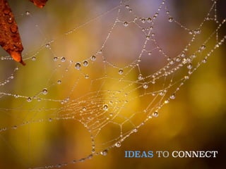 IDEAS TO CONNECT
 