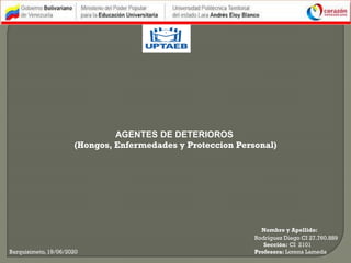 AGENTES DE DETERIOROS
(Hongos, Enfermedades y Proteccion Personal)
Nombre y Apellido:
Rodríguez Diego CI 27.760.889
Sección: CI 2101
Barquisimeto, 19/06/2020 Profesora: Lorena Lameda
 