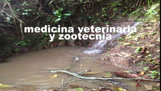medicina veterinaria
y zootecnia
 
