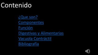 Contenido
• ¿Que son?
• Componentes
• Función
• Digestivas y Alimentarias
• Vacuola Contráctil
• Bibliografía
 
