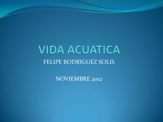 FELIPE RODRIGUEZ SOLIS

   NOVIEMBRE 2012
 