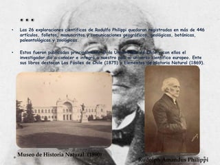 •

Las 26 exploraciones científicas de Rodulfo Philippi quedaron registradas en más de 446
artículos, folletos, manuscritos y comunicaciones geográficas, geológicas, botánicas,
paleontológicas y zoológicas.

•

Estos fueron publicados principalmente en la Universidad de Chile y con ellos el
investigador dio a conocer e integró a nuestro país al universo científico europeo. Ente
sus libros destacan Los Fósiles de Chile (1875) y Elementos de Historia Natural (1869).

Museo de Historia Natural. (1890)

Rudolph Amandus Philippi

 