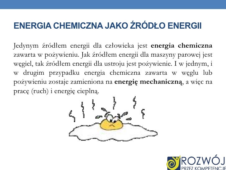 Rodzaje przemiany energii - Głównym źródłem Energii Dla Organizmu Są