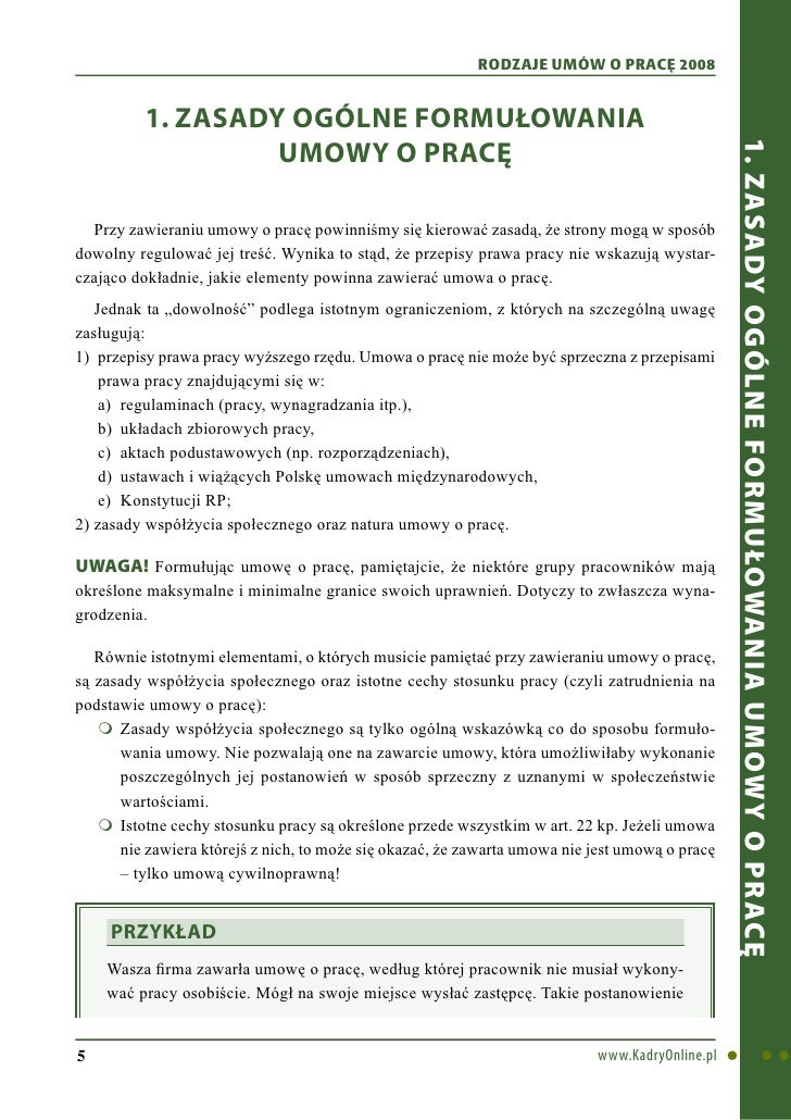 Rodzaje umów o pracę 2008 - ebook