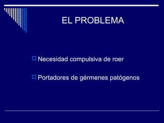 EL PROBLEMA
 Necesidad compulsiva de roer
 Portadores de gérmenes patógenos
 