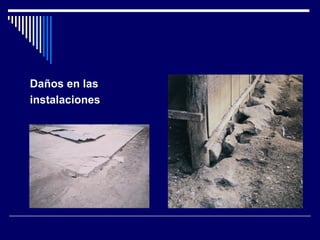 Daños en las
instalaciones
 