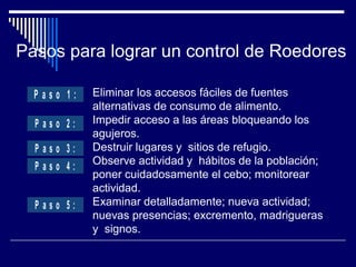 Eliminar los accesos fáciles de fuentes
alternativas de consumo de alimento.
Impedir acceso a las áreas bloqueando los
agujeros.
Destruir lugares y sitios de refugio.
Observe actividad y hábitos de la población;
poner cuidadosamente el cebo; monitorear
actividad.
Examinar detalladamente; nueva actividad;
nuevas presencias; excremento, madrigueras
y signos.
Pasos para lograr un control de Roedores
P a s o 1 :
P a s o 2 :
P a s o 4 :
P a s o 5 :
P a s o 3 :
 
