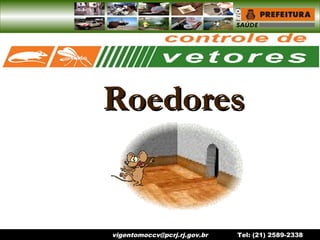 Clique para editar o estilo do
título mestre

       Roedores


                                                       1
        vigentomoccv@pcrj.rj.gov.br   Tel: (21) 2589-2338
 