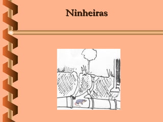 Ninheiras
 
