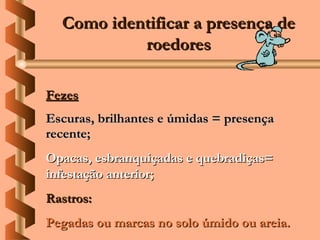 Como identificar a presença de
           roedores

Fezes
Escuras, brilhantes e úmidas = presença
recente;
Opacas, esbranquiçadas e quebradiças=
infestação anterior;
Rastros:
Pegadas ou marcas no solo úmido ou areia.
 