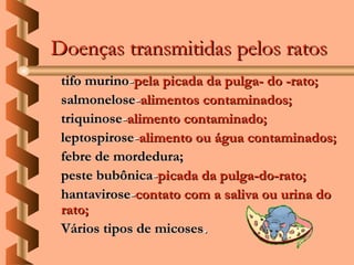 Doenças transmitidas pelos ratos
 tifo murino-pela picada da pulga- do -rato;
 salmonelose-alimentos contaminados;
 triquinose-alimento contaminado;
 leptospirose-alimento ou água contaminados;
 febre de mordedura;
 peste bubônica-picada da pulga-do-rato;
 hantavirose-contato com a saliva ou urina do
 rato;
 Vários tipos de micoses.
 