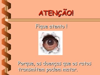 ATENÇÃO!
       Fique atento !




Porque, os doenças que os ratos
transmitem podem matar.
 