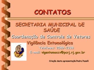 CONTATOS
 SECRETARIA MUNICIPAL DE
          SAÚDE
Coordenação de Controle de Vetores
      Vigilância Entomológica
            Telefones: 2589-2338
       E-mail: vigentomoccv@pcrj.rj.gov.br

                   Criação desta apresentação:Pedro Pazelli
 