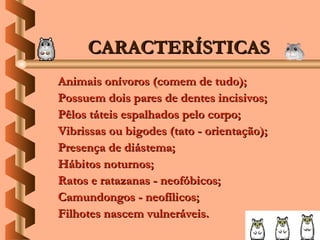 CARACTERÍSTICAS
Animais onívoros (comem de tudo);
Possuem dois pares de dentes incisivos;
Pêlos táteis espalhados pelo corpo;
Vibrissas ou bigodes (tato - orientação);
Presença de diástema;
Hábitos noturnos;
Ratos e ratazanas - neofóbicos;
Camundongos - neofílicos;
Filhotes nascem vulneráveis.
 