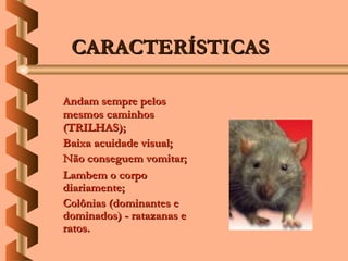 CARACTERÍSTICAS

Andam sempre pelos
mesmos caminhos
(TRILHAS);
Baixa acuidade visual;
Não conseguem vomitar;
Lambem o corpo
diariamente;
Colônias (dominantes e
dominados) - ratazanas e
ratos.
 