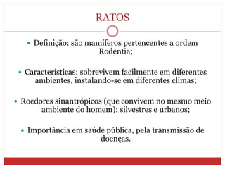 RATOS
 Definição: são mamíferos pertencentes a ordem
Rodentia;
 Características: sobrevivem facilmente em diferentes
ambientes, instalando-se em diferentes climas;
 Roedores sinantrópicos (que convivem no mesmo meio
ambiente do homem): silvestres e urbanos;
 Importância em saúde pública, pela transmissão de
doenças.
 