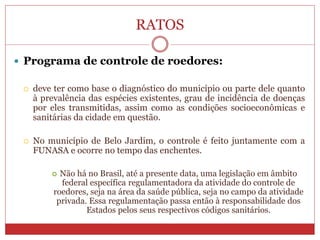 RATOS
 Programa de controle de roedores:
 deve ter como base o diagnóstico do município ou parte dele quanto
à prevalência das espécies existentes, grau de incidência de doenças
por eles transmitidas, assim como as condições socioeconômicas e
sanitárias da cidade em questão.
 No município de Belo Jardim, o controle é feito juntamente com a
FUNASA e ocorre no tempo das enchentes.
 Não há no Brasil, até a presente data, uma legislação em âmbito
federal específica regulamentadora da atividade do controle de
roedores, seja na área da saúde pública, seja no campo da atividade
privada. Essa regulamentação passa então à responsabilidade dos
Estados pelos seus respectivos códigos sanitários.
 