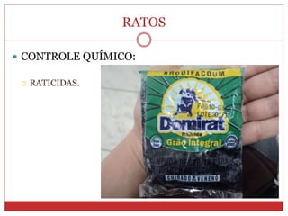 RATOS
 CONTROLE QUÍMICO:
 RATICIDAS.
 