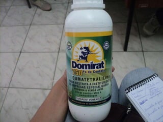 RATOS
 CONTROLE QUÍMICO:
 RATICIDAS.
 