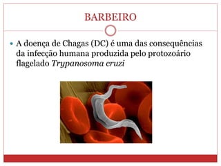 BARBEIRO
 A doença de Chagas (DC) é uma das consequências
da infecção humana produzida pelo protozoário
flagelado Trypanosoma cruzi
 
