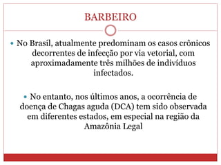 BARBEIRO
 No Brasil, atualmente predominam os casos crônicos
decorrentes de infecção por via vetorial, com
aproximadamente três milhões de indivíduos
infectados.
 No entanto, nos últimos anos, a ocorrência de
doença de Chagas aguda (DCA) tem sido observada
em diferentes estados, em especial na região da
Amazônia Legal
 
