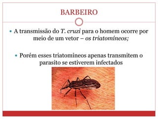 BARBEIRO
 A transmissão do T. cruzi para o homem ocorre por
meio de um vetor – os triatomíneos;
 Porém esses triatomíneos apenas transmitem o
parasito se estiverem infectados
 
