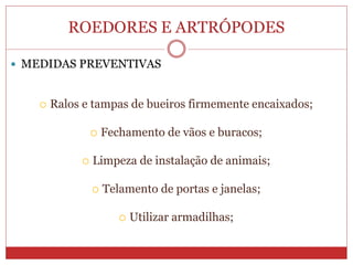 ROEDORES E ARTRÓPODES
 MEDIDAS PREVENTIVAS
 Ralos e tampas de bueiros firmemente encaixados;
 Fechamento de vãos e buracos;
 Limpeza de instalação de animais;
 Telamento de portas e janelas;
 Utilizar armadilhas;
 
