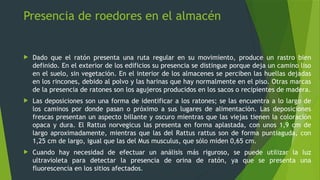 roedores plagas 2.pptx, ratas y ratones roedores | PPTX