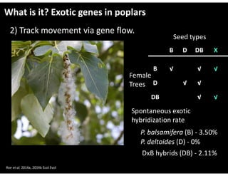 Gene Roe Genomics and its application in forest health | PPT