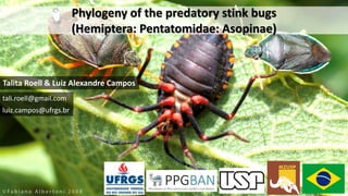 Phylogeny of the predatory stink bugs
(Hemiptera: Pentatomidae: Asopinae)
Talita Roell & Luiz Alexandre Campos
tali.roell@gmail.com
luiz.campos@ufrgs.br
 