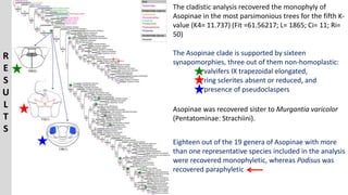 R
E
S
U
L
T
S
The cladistic analysis recovered the monophyly of
Asopinae in the most parsimonious trees for the fifth K-
value (K4= 11.737) (Fit =61.56217; L= 1865; Ci= 11; Ri=
50)
The Asopinae clade is supported by sixteen
synapomorphies, three out of them non-homoplastic:
valvifers IX trapezoidal elongated,
ring sclerites absent or reduced, and
presence of pseudoclaspers
Asopinae was recovered sister to Murgantia varicolor
(Pentatominae: Strachiini).
Eighteen out of the 19 genera of Asopinae with more
than one representative species included in the analysis
were recovered monophyletic, whereas Podisus was
recovered paraphyletic
 
