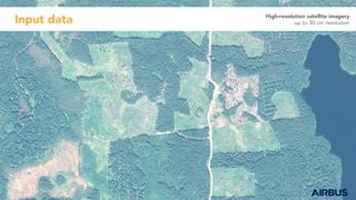 Input data High-resolution satellite imagery
up to 30 cm resolution
 