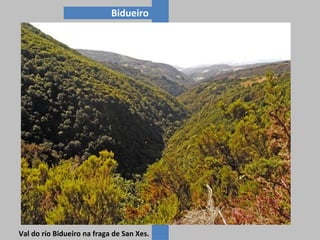 Bidueiro

Val do río Bidueiro na fraga de San Xes.

 