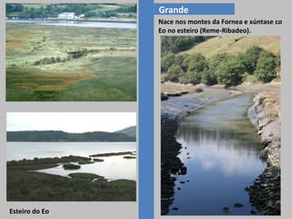Grande
Nace nos montes da Fornea e xúntase co
Eo no esteiro (Reme-Ribadeo).

Esteiro do Eo

 