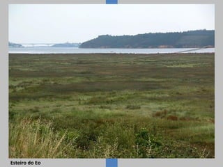 Esteiro do Eo

 
