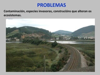 PROBLEMAS
Contaminación, especies invasoras, construcións que alteran os
ecosistemas.

 