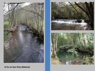 O Eo en San Paio (Baleira)

 