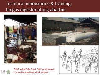 GIZ-funded Safe Food, Fair Food project
IrishAid-funded MorePork project
Technical innovations & training:
biogas digester at pig abattoir
 
