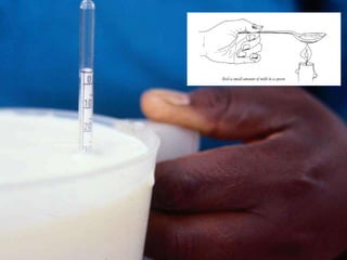 The role of informal food markets—Towards professionalizing, not criminalizing