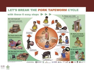 The role of informal food markets—Towards professionalizing, not criminalizing